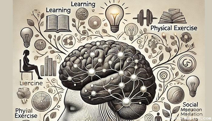 factors influencing neuroplasticity, brain adaptability